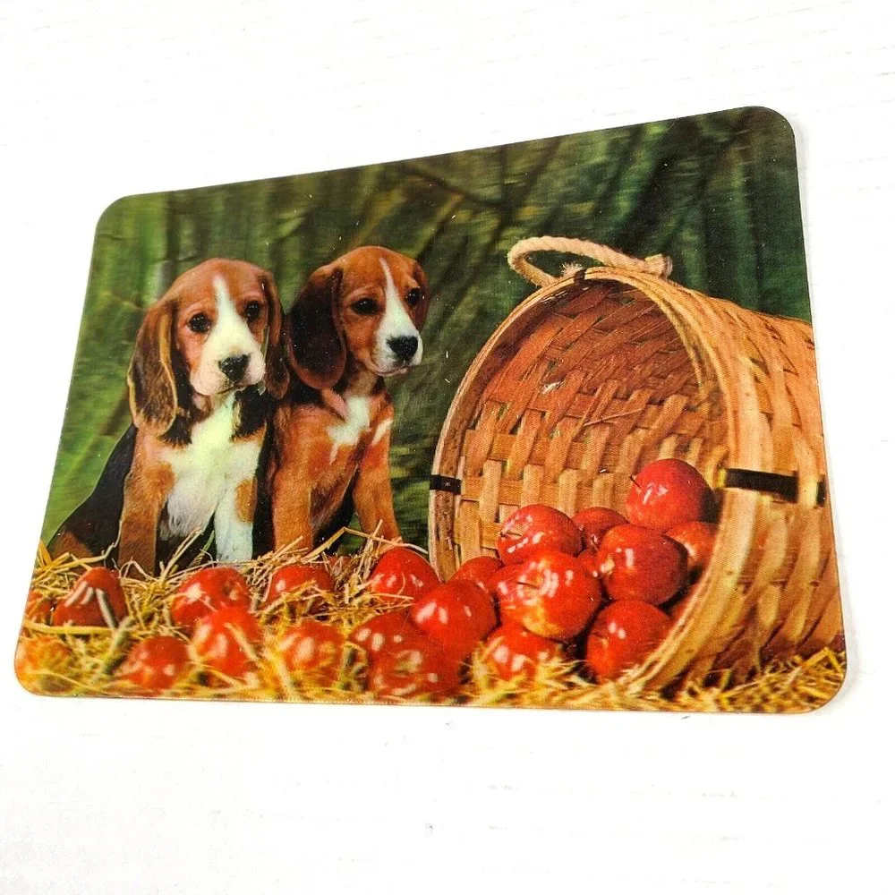 Beagle Puppies Apples Cute Dogs‎ 3-D 3D Postcard Unposted Vari-Vue 1960s Vintage